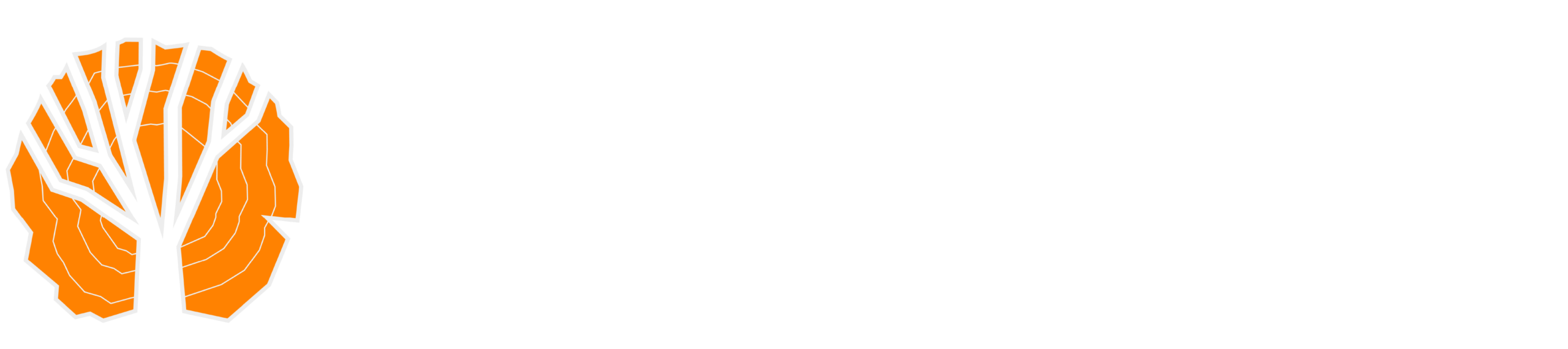 Elmwood